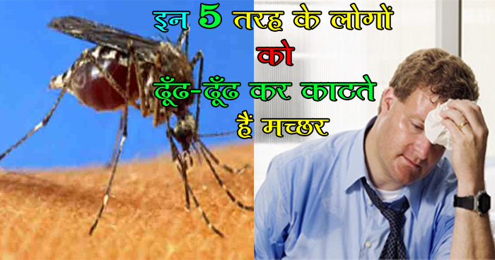 इन 5 तरह के लोगों को ढूँढ-ढूँढ कर काटते हैं मच्छर, जाने क्या है इसकी वजह