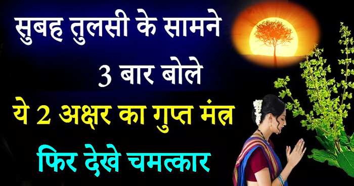 तुलसी के सामने 3 बार बोलें यह गुप्त मंत्र, होगा ऐसा चमत्कार आपकी सोई किस्मत जाएगी जाग