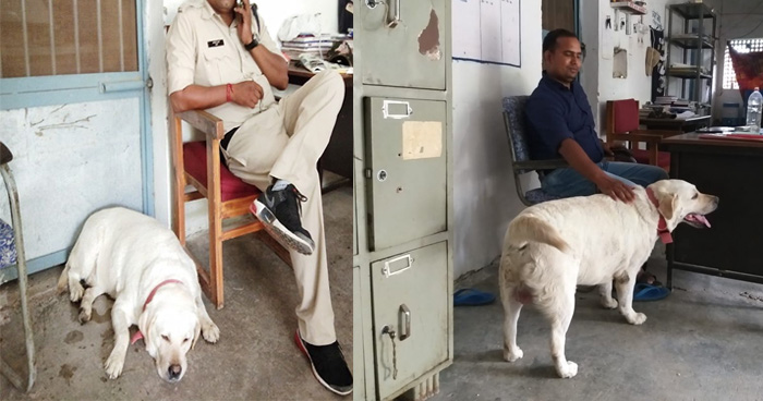 परिवार गया जेल, पालतू कुत्ता 'जिमी' रहे गया अकेला, तब पुलिस बनीं इसका सहारा