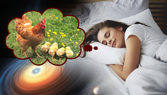 सपने में मुर्गे का दिखना करता हैं ये 6 भविष्यवाणीयां, जीवन में हैरान करने वाले बदलाव आते हैं